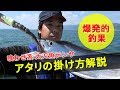 新釣法で船の太刀魚テンヤ攻略～アタリの掛け方解説～