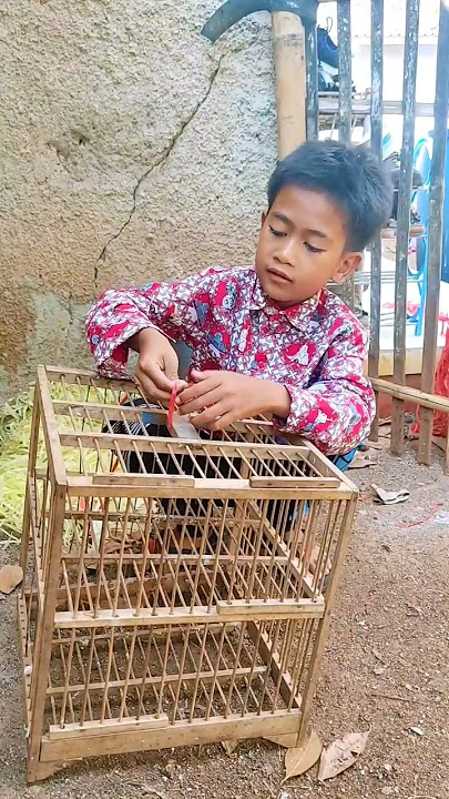 PERANGKAP BANDANG BURUNG MERPATI #kreatif #diy #art #viral