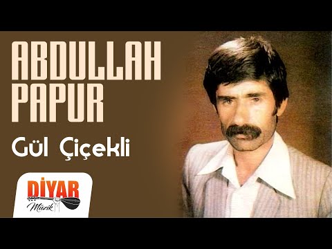 Abdullah Papur - Gül Çiçekli