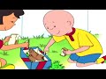 Caillou és a Felelősség | Caillou Magyarul - WildBrain