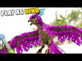 DON'T TOUCH MY EGGS !!! | PLAY AS DINO | ARK SURVIVAL EVOLVED