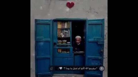 التائبون العابدون.// القارئ إسلام صبحي🎤 ستوريات قرآن ♥️