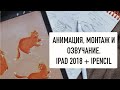 Анимация в Procreate на ipad 2018