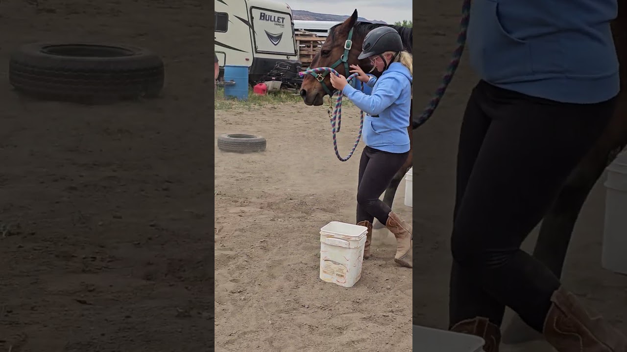 Maximum Horse Power is starting 