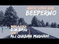 Beeperwo by dwbaig  ali qurban mughani