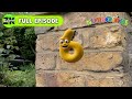 Areas Of Concern Numberjacks Full Episode Season 2 Episode 15 ZeeKay Education 
