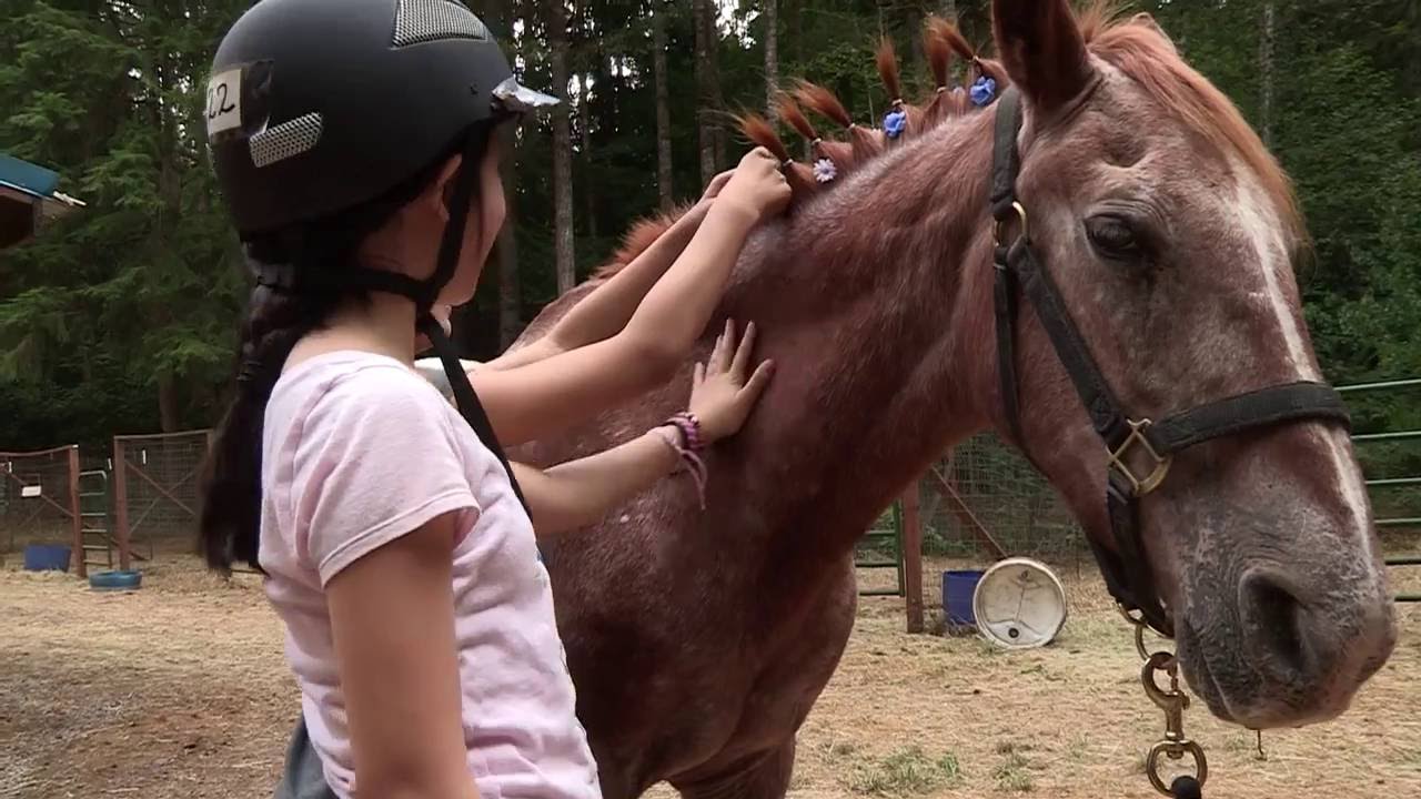 horseshoe bend Horsing Around Clackamas County: Horse Camps