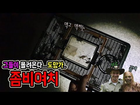 Thumbnail for 약혐)"좀비여치"라고 아시나요...? 뜯어먹고 또 뜯어먹히는... [정브르]