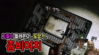 약혐)"좀비여치"라고 아시나요...? 뜯어먹고 또 뜯어먹히는... [정브르]