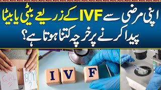Details IVF Gender Selection Cost - IVF Gender Selection in Pakistan - Gender Selection IVF Procedure - IVF Update