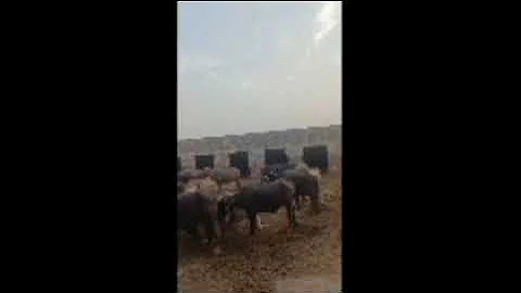 90’s Old Hindi Songs💘 90s Love Song🥰 Udit Narayan, Alka Yagnik, Kumar Sanu 💔 Hindi Jukebox songs