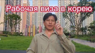 Как сделать рабочую визу в КОРЕЮ! Как быстро найти РАБОТУ #работавкорее