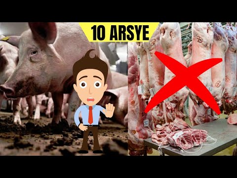 Video: A është lëkura e derrit mish derri?