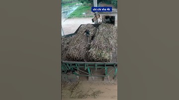 chi tiết kỹ năng lái cẩu an toàn hiệu quả trong khu công nghiệp