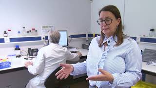 Le Pigeon Belge: contrôles antidopage