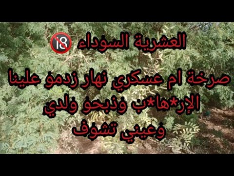 صرخة ام عسكري نهار زدمو علينا الإر ها ب وذبحو ولدي قدام عيني العشرية السوداء 
