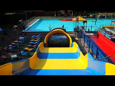 Breitrutsche :: blau-gelbe