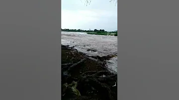 سلسلة بلدي يا حبوب 