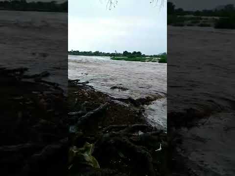 سلسلة بلدي يا حبوب