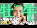 【牡牛座】2月後半の運勢🍀必ず乗り越える✨不死鳥のように強く大復活🌟成功を手に入れよう🎉タロット占い