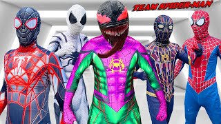TEAM SPIDER MAN vs BAD GUY TEAM | SPECIAL LIVE ACTION STORY 2 - VENOM Is BAD HERO - Fun Flife TV