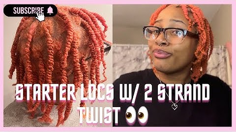 Two Strand Twist Starter Locs !!! *VERY DETAILED* | Loc Journey | DIY Starter Locs