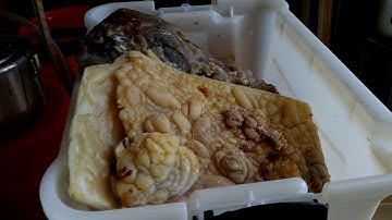 How to apply beeswax to plastic foundation for beehives