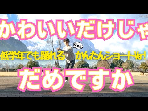 発表会とかにどうですか かわいいだけじゃだめですか かんたんアレンジ