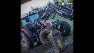 Forstwirtschaft extrem in Südtirol