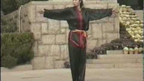 8 STEP MANTIS BABU FORM