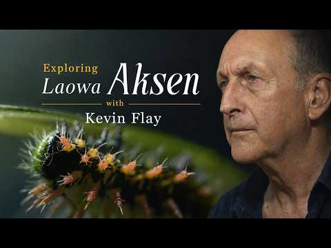 The Ultimate Wildlife Macro Setup? Award Winning Macro DoP Kevin Flay Reviews the New Laowa Aksen