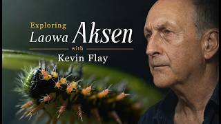 The Ultimate Wildlife Macro Setup Award Winning Macro DoP Kevin Flay Reviews the New Laowa Aksen