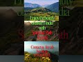 Enjoy the beauty of eastern India | Spiritual Path Travels #travel #easternindia #spiritualtrip