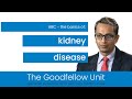 Goodfellow unit webinar basics of kidney disease