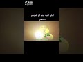 نينجا كو الموسم الخامس mp3