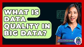 What Is Data Quality In Big Data? - Next LVL Programming
