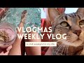 VLOGMAS: Taking My Indoor Cat Outside + Removing Gel X Nails + Time Management Tips.