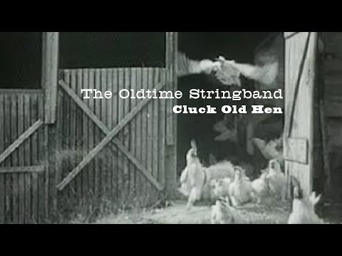 The Oldtime Stringband - Cluck Old Hen