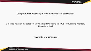 SimNIBS Reverse-Calculation Electric Field Modeling in TDCS for Working Memory // NIBS workshop 2020