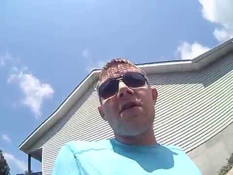 honey bees and the solar eclipse?