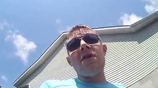 Famous honey bees and the solar eclipse? Wealth