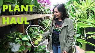 LET'S GO PLANT SHOPPING! + HAUL