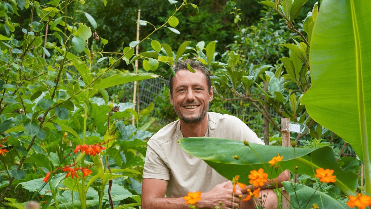 Как избавиться от искусственных лесов с помощью сложных методов