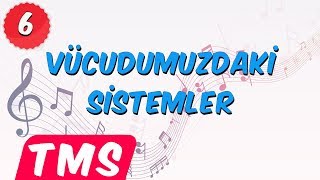 Vücudumuzdaki Sistemler Şarkısı 🎶🎧