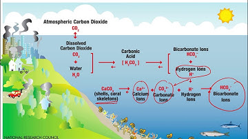 Ocean Acidification