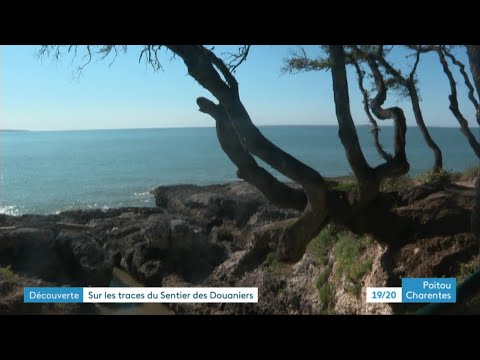 Royan : découverte du sentier des douaniers