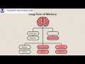 Understanding Long Term Memory🧠📊
