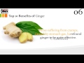 Top 10 benefits of ginger   health benefits of ginger