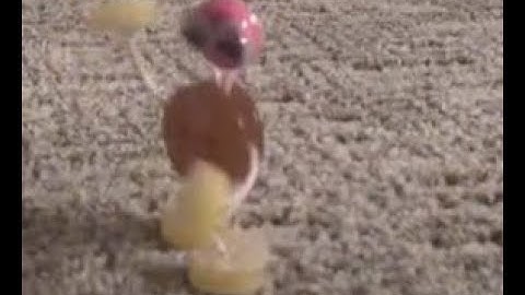 How to make button puppets since you cant find the tutorial anywhere else then tiktok