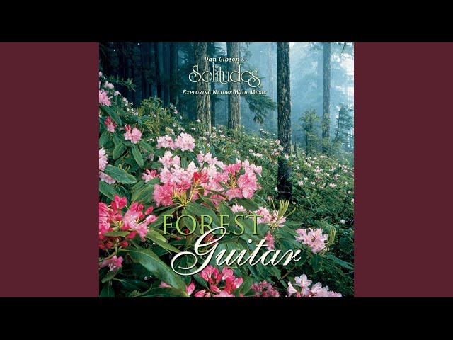 Dan Gibson's Solitudes - Sequoia Serenade